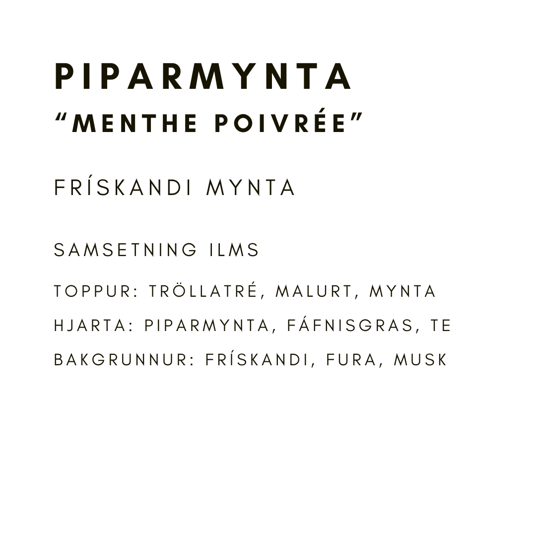 Piparmynta “Menthe Poivrée”