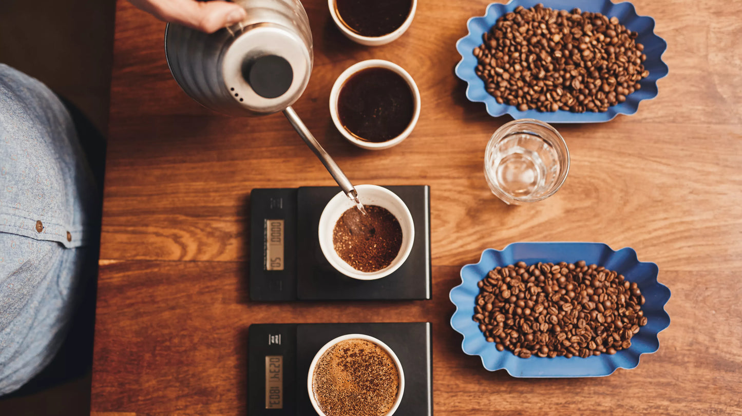 Hario V60 vigt